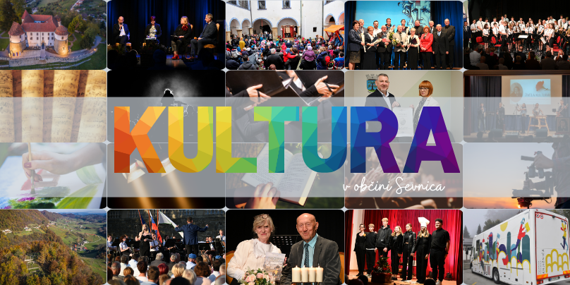 Grafika, ki prikazuje kulturno dogajanje v sevniški občini