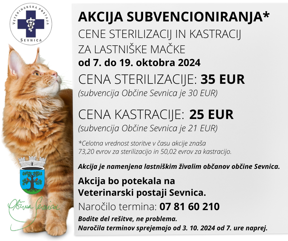 Akcija mačke_OKTOBER 2024