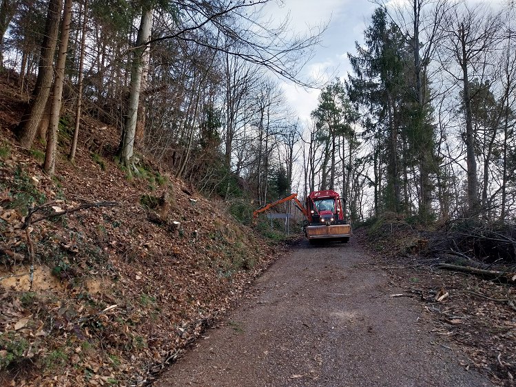 Obsekovanje na cestnem odseku Loka–Radež